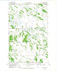 Download a high-resolution, GPS-compatible USGS topo map for Skull Lake NE, MN (1967 edition)