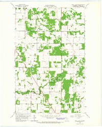 Download a high-resolution, GPS-compatible USGS topo map for Skull Lake SW, MN (1967 edition)