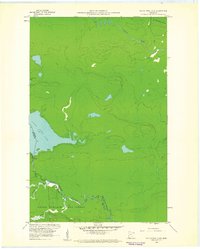 Download a high-resolution, GPS-compatible USGS topo map for South Fowl Lake, MN (1961 edition)