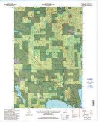 Download a high-resolution, GPS-compatible USGS topo map for Squaw Lake, MN (1998 edition)