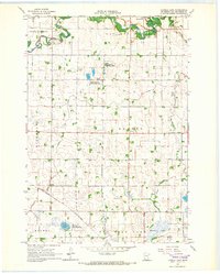 Download a high-resolution, GPS-compatible USGS topo map for Tenmile Lake, MN (1966 edition)