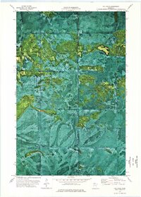 Download a high-resolution, GPS-compatible USGS topo map for The Pines, MN (1976 edition)