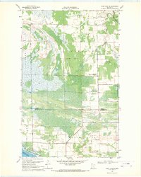 Download a high-resolution, GPS-compatible USGS topo map for Thief Lake SE, MN (1971 edition)
