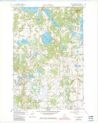 Download a high-resolution, GPS-compatible USGS topo map for Toad Mountain, MN (1982 edition)