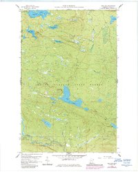 Download a high-resolution, GPS-compatible USGS topo map for Tom Lake, MN (1986 edition)