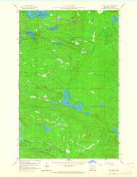 Download a high-resolution, GPS-compatible USGS topo map for Tom Lake, MN (1965 edition)