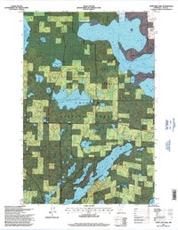 Download a high-resolution, GPS-compatible USGS topo map for Town Line Lake, MN (1998 edition)