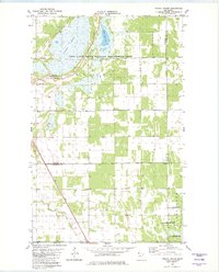 Download a high-resolution, GPS-compatible USGS topo map for Twistal Swamp, MN (1982 edition)