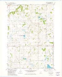 preview thumbnail of historical topo map of Scott County, MN in 1981