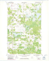 Download a high-resolution, GPS-compatible USGS topo map for Wannaska SW, MN (1984 edition)