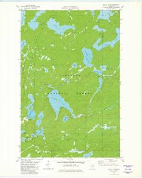 Download a high-resolution, GPS-compatible USGS topo map for Wilson Lake, MN (1982 edition)