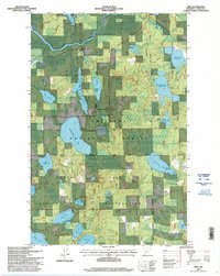 Download a high-resolution, GPS-compatible USGS topo map for Wirt, MN (1998 edition)