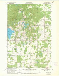 Download a high-resolution, GPS-compatible USGS topo map for Wolf Lake, MN (1971 edition)