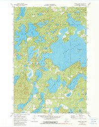 Download a high-resolution, GPS-compatible USGS topo map for Woman Lake, MN (1990 edition)