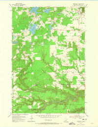 Download a high-resolution, GPS-compatible USGS topo map for Wrenshall, MN (1974 edition)
