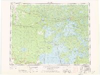 preview thumbnail of historical topo map of Lake of the Woods County, MN in 1963