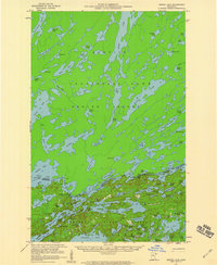 Download a high-resolution, GPS-compatible USGS topo map for Ensign Lake, MN (1960 edition)