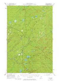 Download a high-resolution, GPS-compatible USGS topo map for Whyte, MN (1976 edition)