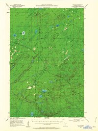 Download a high-resolution, GPS-compatible USGS topo map for Whyte, MN (1962 edition)