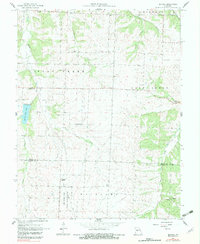 Download a high-resolution, GPS-compatible USGS topo map for Bahner, MO (1982 edition)