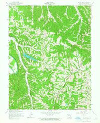 Download a high-resolution, GPS-compatible USGS topo map for Belew Creek, MO (1964 edition)