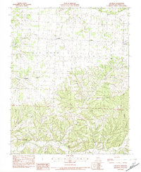 Download a high-resolution, GPS-compatible USGS topo map for Bethpage, MO (1982 edition)