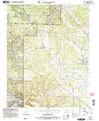 Download a high-resolution, GPS-compatible USGS topo map for Beulah, MO (2006 edition)