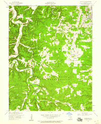 Download a high-resolution, GPS-compatible USGS topo map for Bloodland, MO (1959 edition)