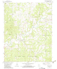 Download a high-resolution, GPS-compatible USGS topo map for Brownbranch, MO (1983 edition)