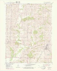 Download a high-resolution, GPS-compatible USGS topo map for Bucklin, MO (1979 edition)