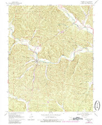 Download a high-resolution, GPS-compatible USGS topo map for Centerville, MO (1985 edition)