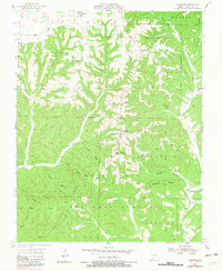 Download a high-resolution, GPS-compatible USGS topo map for Chadwick, MO (1981 edition)