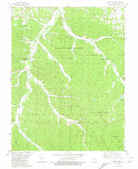 Download a high-resolution, GPS-compatible USGS topo map for Cyclone Hollow, MO (1981 edition)