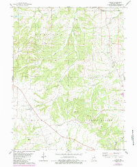 Download a high-resolution, GPS-compatible USGS topo map for Cyrene, MO (1985 edition)