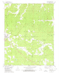 Download a high-resolution, GPS-compatible USGS topo map for Ellsinore, MO (1980 edition)