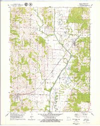 preview thumbnail of historical topo map of Elmer, MO in 1979