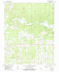 preview thumbnail of historical topo map of Ripley County, MO in 1979