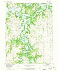 Download a high-resolution, GPS-compatible USGS topo map for Florida, MO (1974 edition)