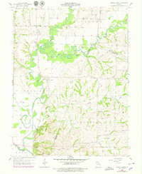 Download a high-resolution, GPS-compatible USGS topo map for Forest Green, MO (1979 edition)