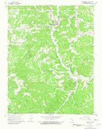 Download a high-resolution, GPS-compatible USGS topo map for Gainesville, MO (1981 edition)