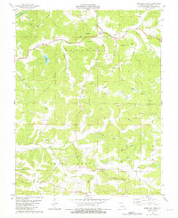 Download a high-resolution, GPS-compatible USGS topo map for Goerlisch Ridge, MO (1981 edition)