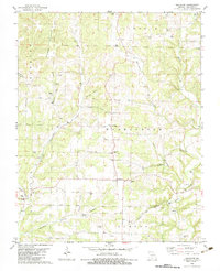 preview thumbnail of historical topo map of Douglas County, MO in 1982