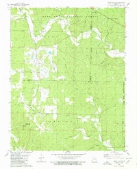 preview thumbnail of historical topo map of Ripley County, MO in 1980
