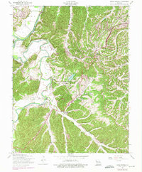 Download a high-resolution, GPS-compatible USGS topo map for House Springs, MO (1975 edition)