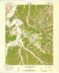 Download a high-resolution, GPS-compatible USGS topo map for House Springs, MO (1959 edition)