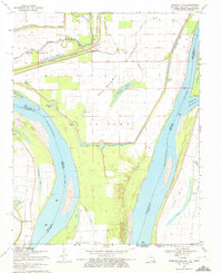 preview thumbnail of historical topo map of New Madrid County, MO in 1969