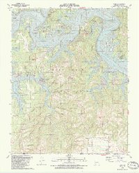 Download a high-resolution, GPS-compatible USGS topo map for Lampe, MO (1989 edition)