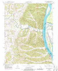 Download a high-resolution, GPS-compatible USGS topo map for Neelys Landing, MO (1986 edition)