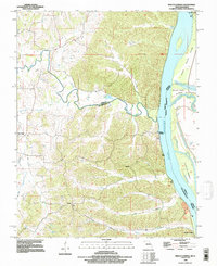 Download a high-resolution, GPS-compatible USGS topo map for Neelys Landing, MO (1996 edition)