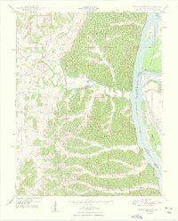 Download a high-resolution, GPS-compatible USGS topo map for Neelys Landing, MO (1948 edition)